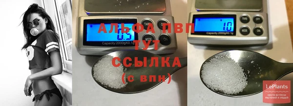 крисы Белокуриха