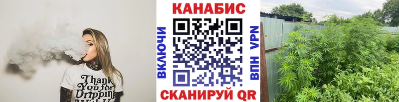 Конопля план где купить наркоту Вельск